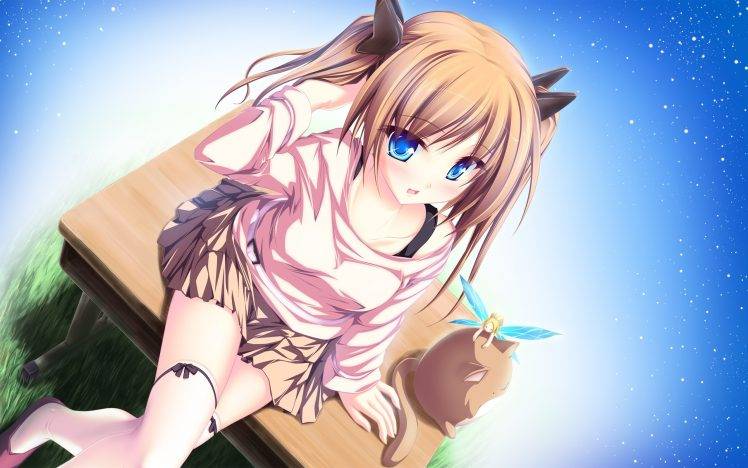 anime, Anime Girls HD Wallpaper Desktop Background