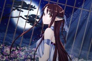 anime, Sword Art Online, Anime Girls, Yuuki Asuna, Elves, Moon