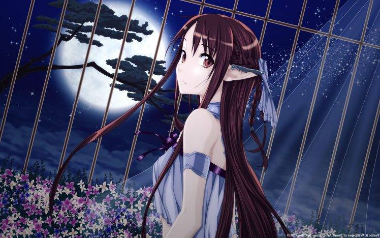 anime, Sword Art Online, Anime Girls, Yuuki Asuna, Elves, Moon HD Wallpaper Desktop Background