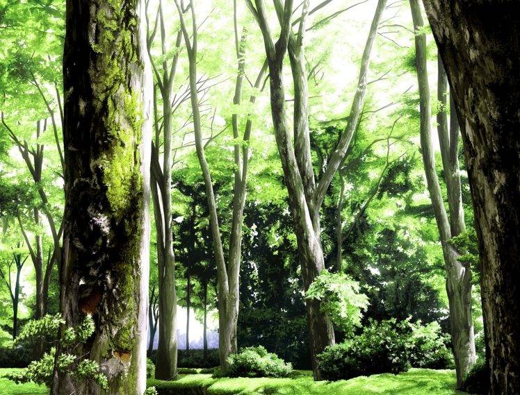 anime, Forest, Sunlight HD Wallpaper Desktop Background