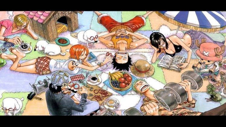 anime, One Piece HD Wallpaper Desktop Background