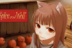 anime, Spice And Wolf, Holo