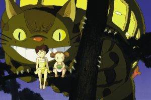 Studio Ghibli, My Neighbor Totoro, Anime