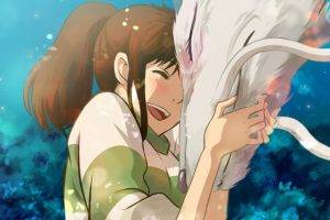Studio Ghibli, Spirited Away, Anime
