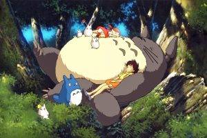 Studio Ghibli, My Neighbor Totoro, Totoro, Anime