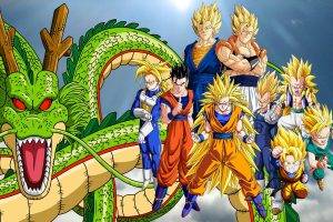 Dragon Ball, Super Saiyan, Trunks (character), Vegeta, Shenron, Gogeta, Vegito, Super Saiyan 3, Ultimate Gohan, Gotenks