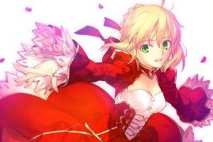 Fate Series, Anime, Type Moon, Saber, Saber Extra