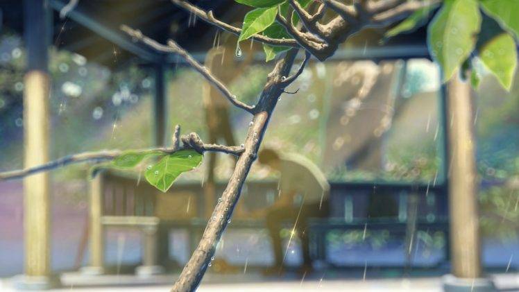 summer, Sunlight, Makoto Shinkai, Rain, Branch HD Wallpaper Desktop Background