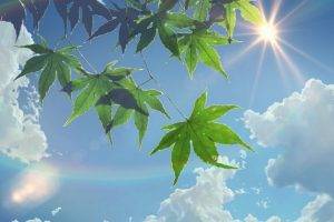 summer, Sunlight, Leaves, The Garden Of Words, Sun Rays, Clouds, Makoto Shinkai