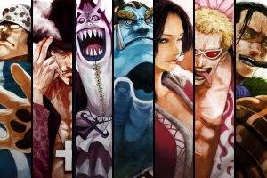 One Piece, Panels