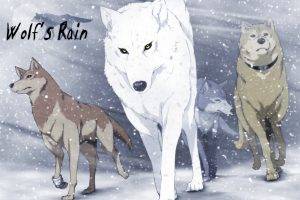 Wolfs Rain, Anime, Wolf, Animals