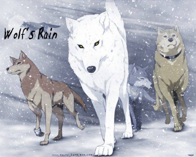 Wolfs Rain, Anime, Wolf, Animals HD Wallpaper Desktop Background