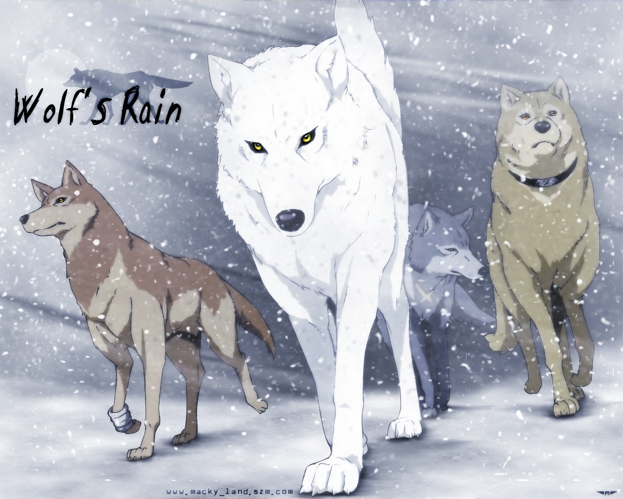 Wolfs Rain, Anime, Wolf, Animals Wallpaper