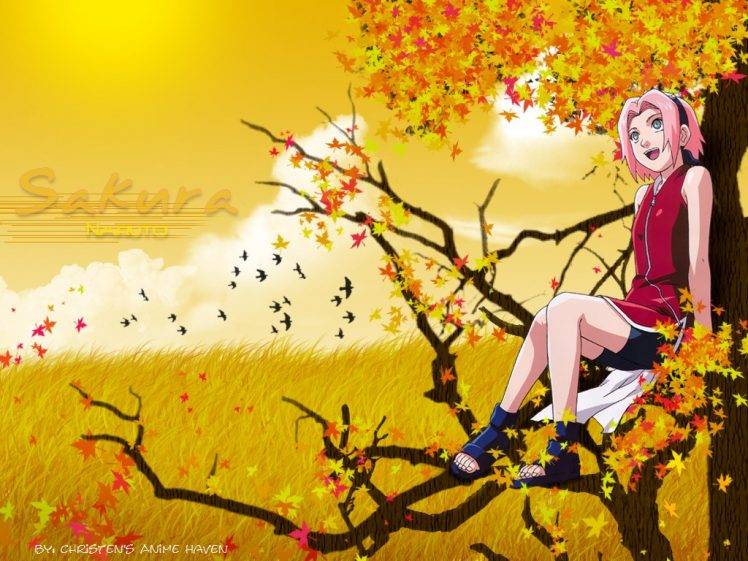 Naruto Shippuuden, Haruno Sakura, Fall HD Wallpaper Desktop Background
