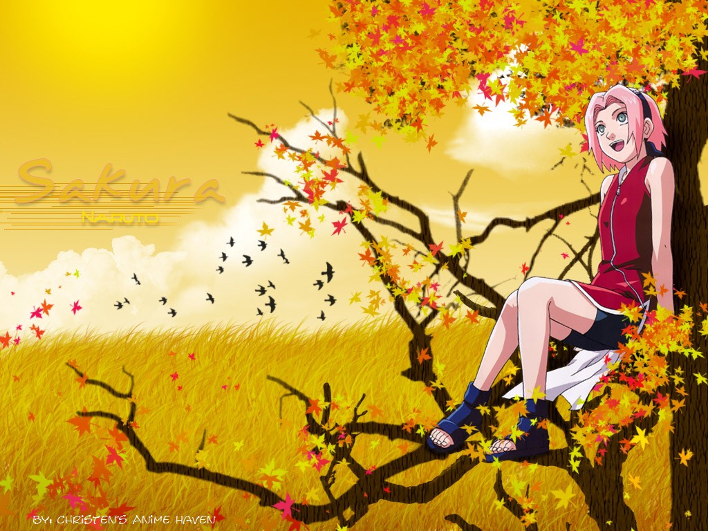 Naruto Shippuuden, Haruno Sakura, Fall Wallpaper