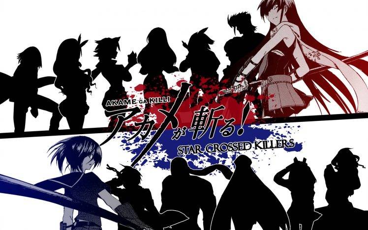 Akame Ga Kill!, Anime, Akame, Kurome HD Wallpaper Desktop Background