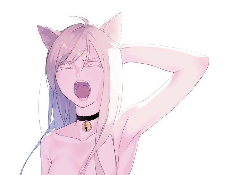anime, Anime Girls, Nekomimi, Animal Ears, Original Characters HD Wallpaper Desktop Background