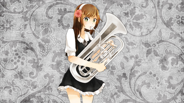 music, Orchestra, Anime Girls, Baritone HD Wallpaper Desktop Background