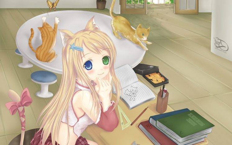 anime Girls, Anime, Original Characters, Heterochromia, Nekomimi HD Wallpaper Desktop Background
