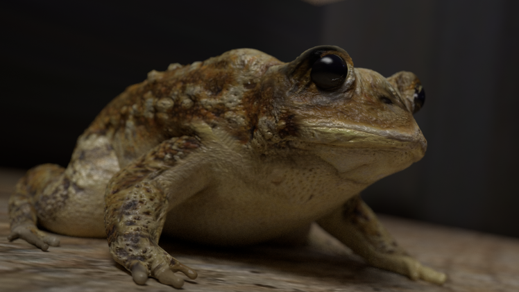 frog, CGI, Amphibian