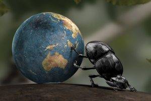 Earth, Insect, CGI, Dung Beetle, Crabs