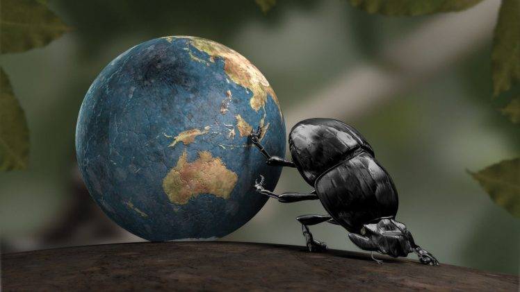 Earth, Insect, CGI, Dung Beetle, Crabs HD Wallpaper Desktop Background