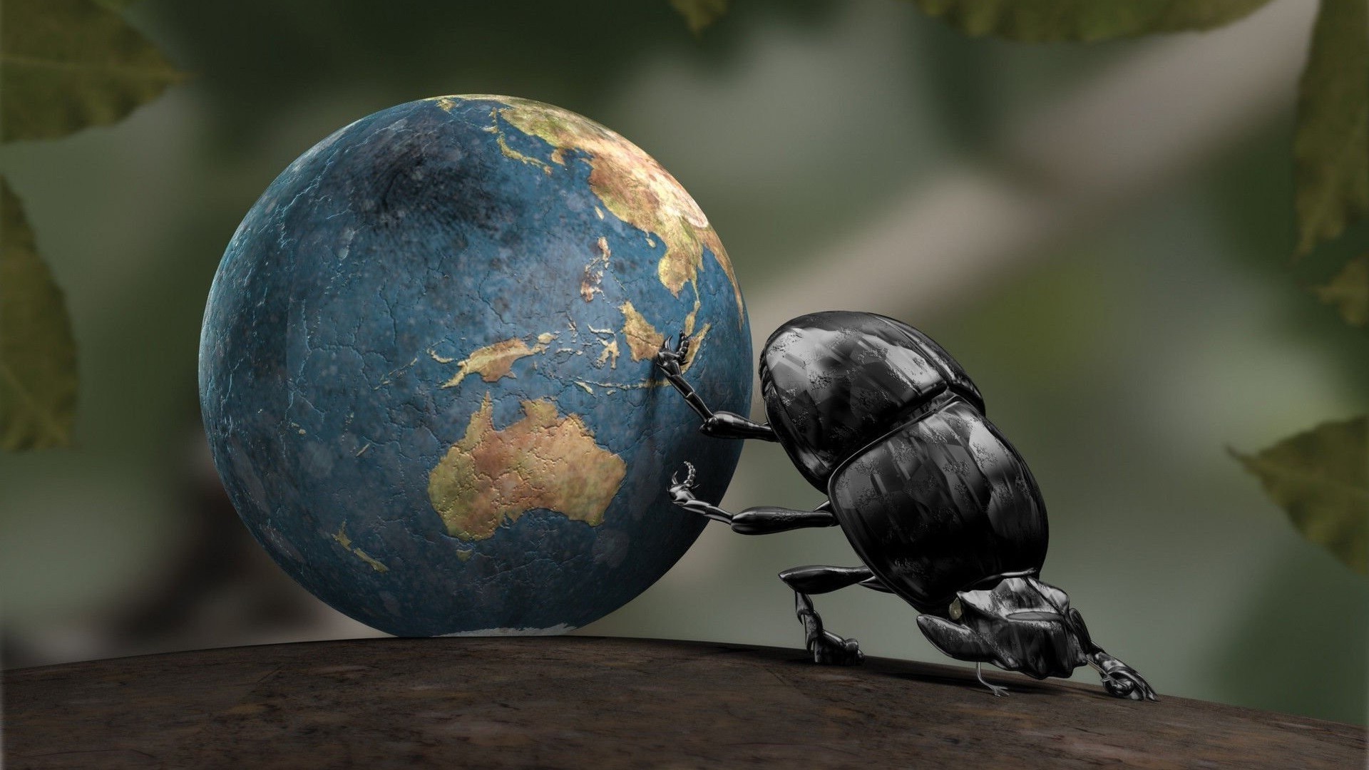Earth, Insect, CGI, Dung Beetle, Crabs Wallpaper