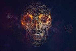 wireframe, CGI, Skull, Fire, Rose, Vectors, Lines, Blue Background