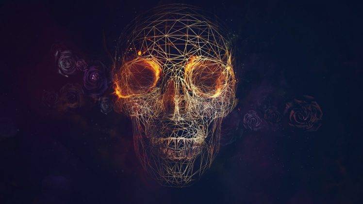 wireframe, CGI, Skull, Fire, Rose, Vectors, Lines, Blue Background HD Wallpaper Desktop Background