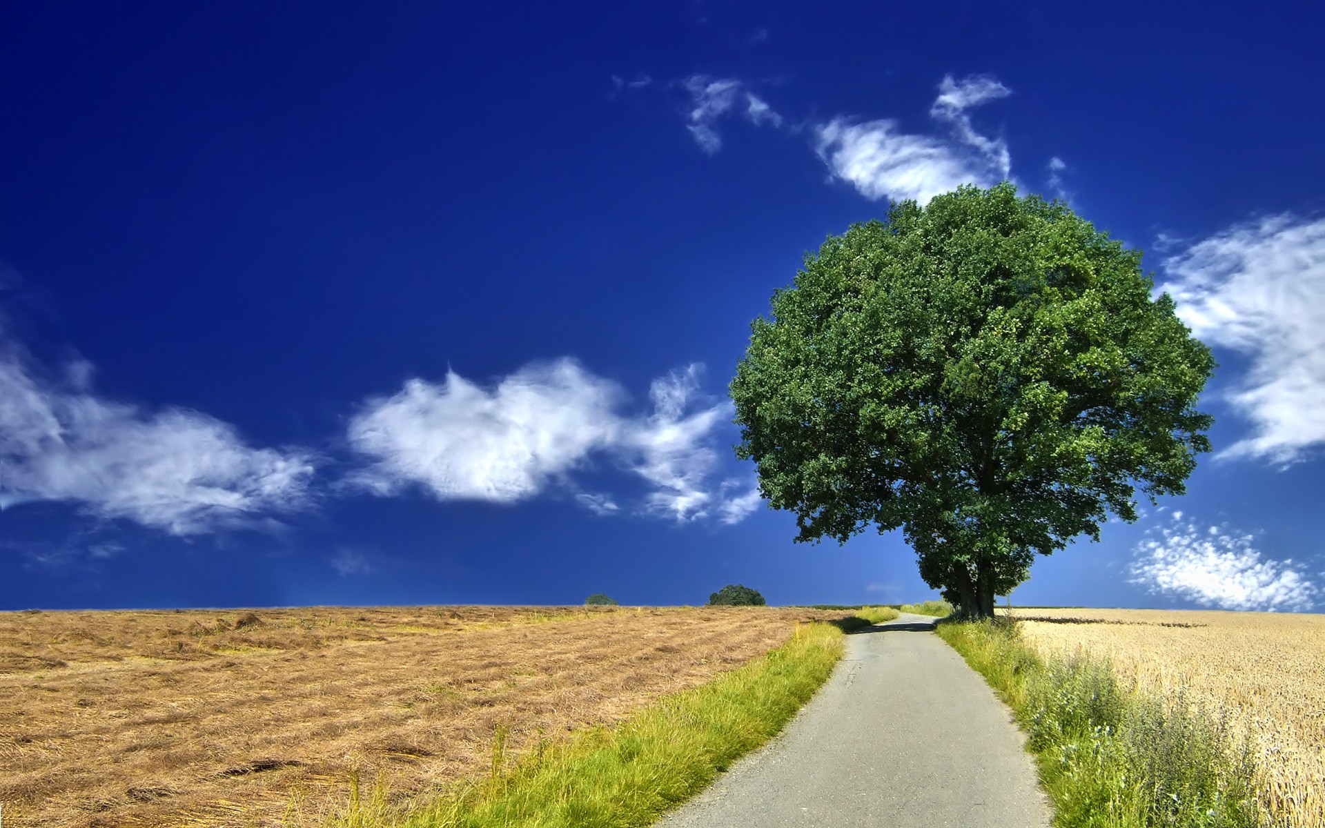 nature Wallpaper