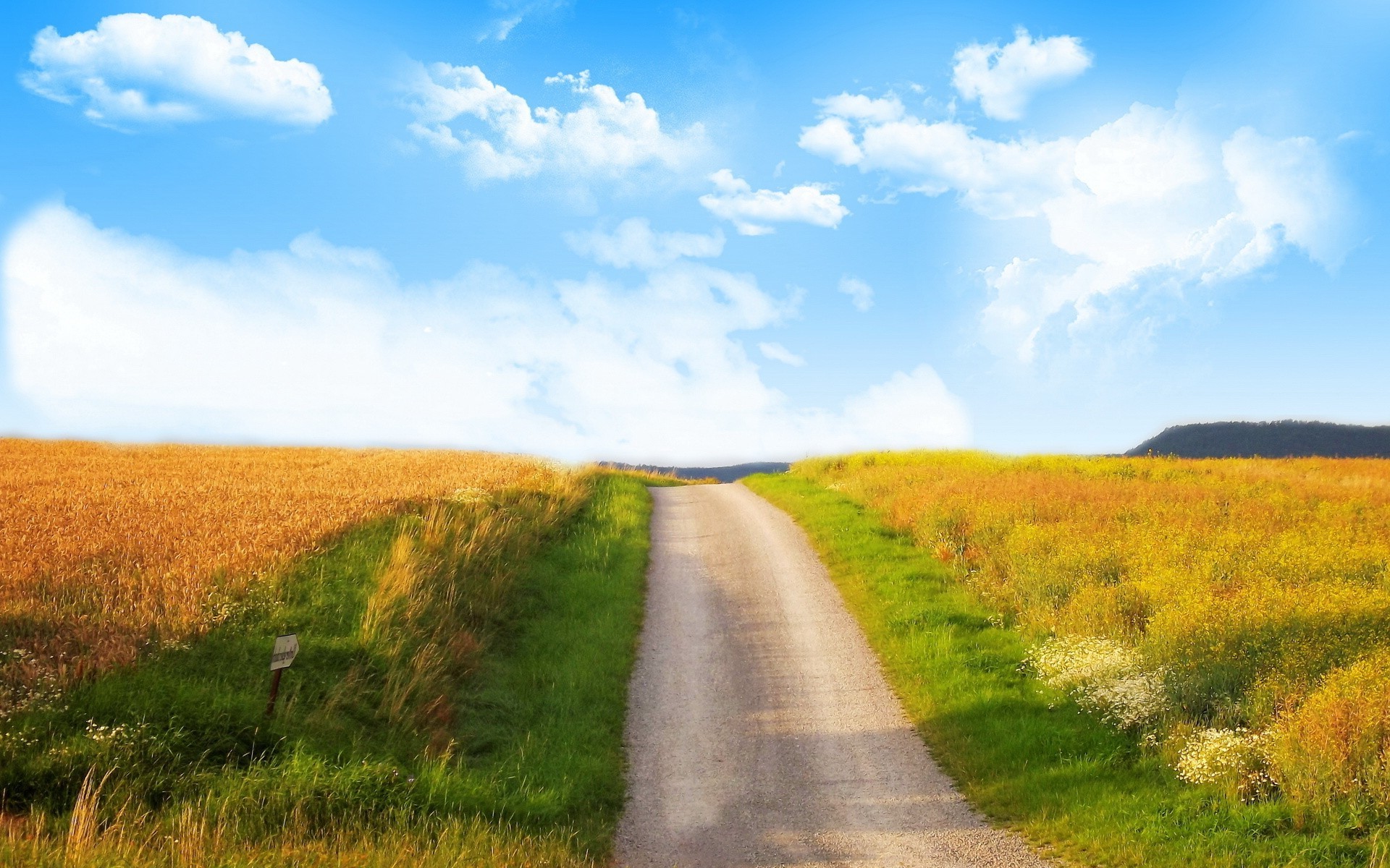 nature Wallpaper