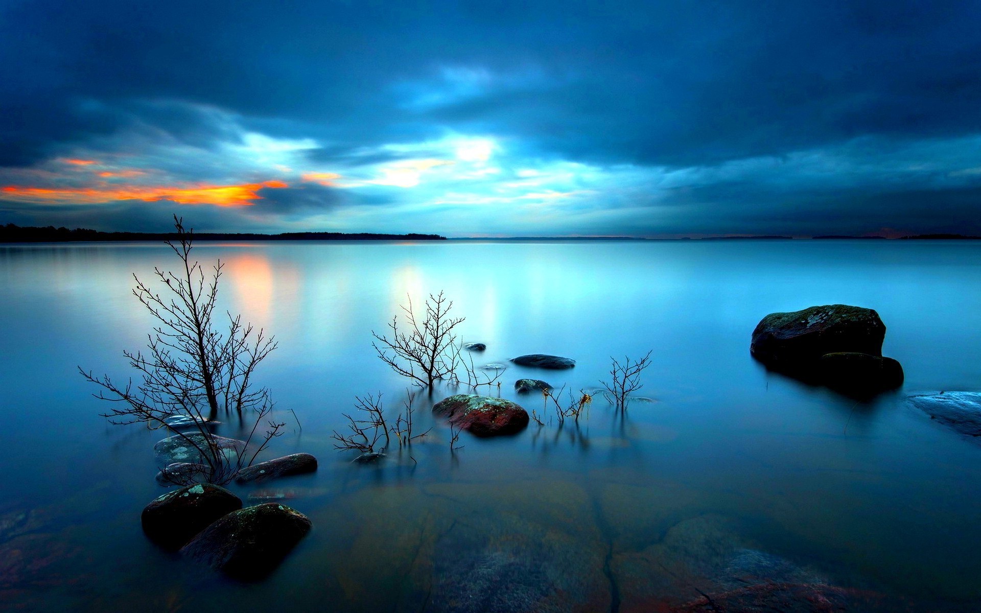 nature Wallpaper