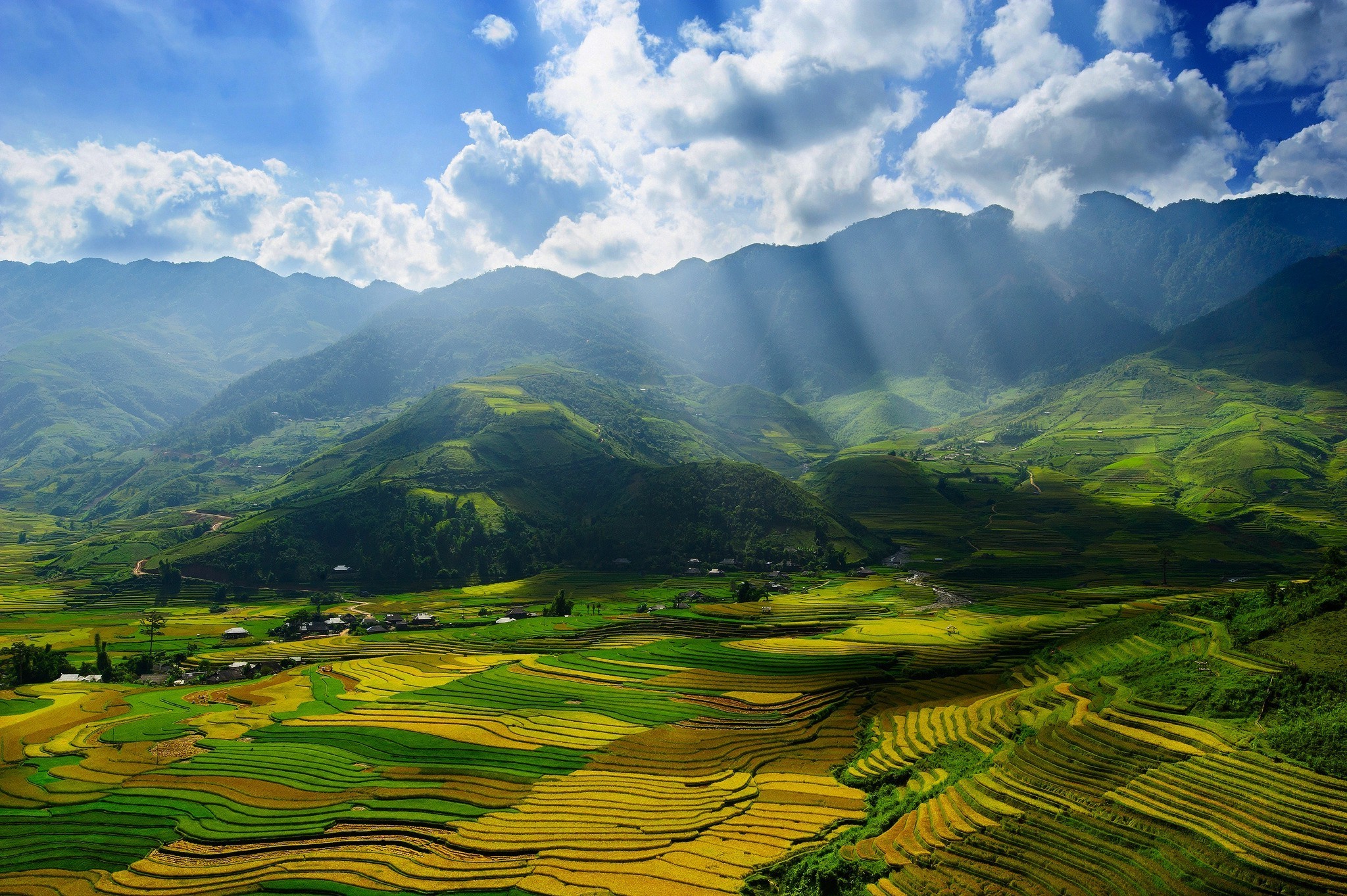 nature Wallpaper