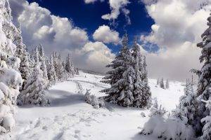 nature, Snow, Trees, Mountains
