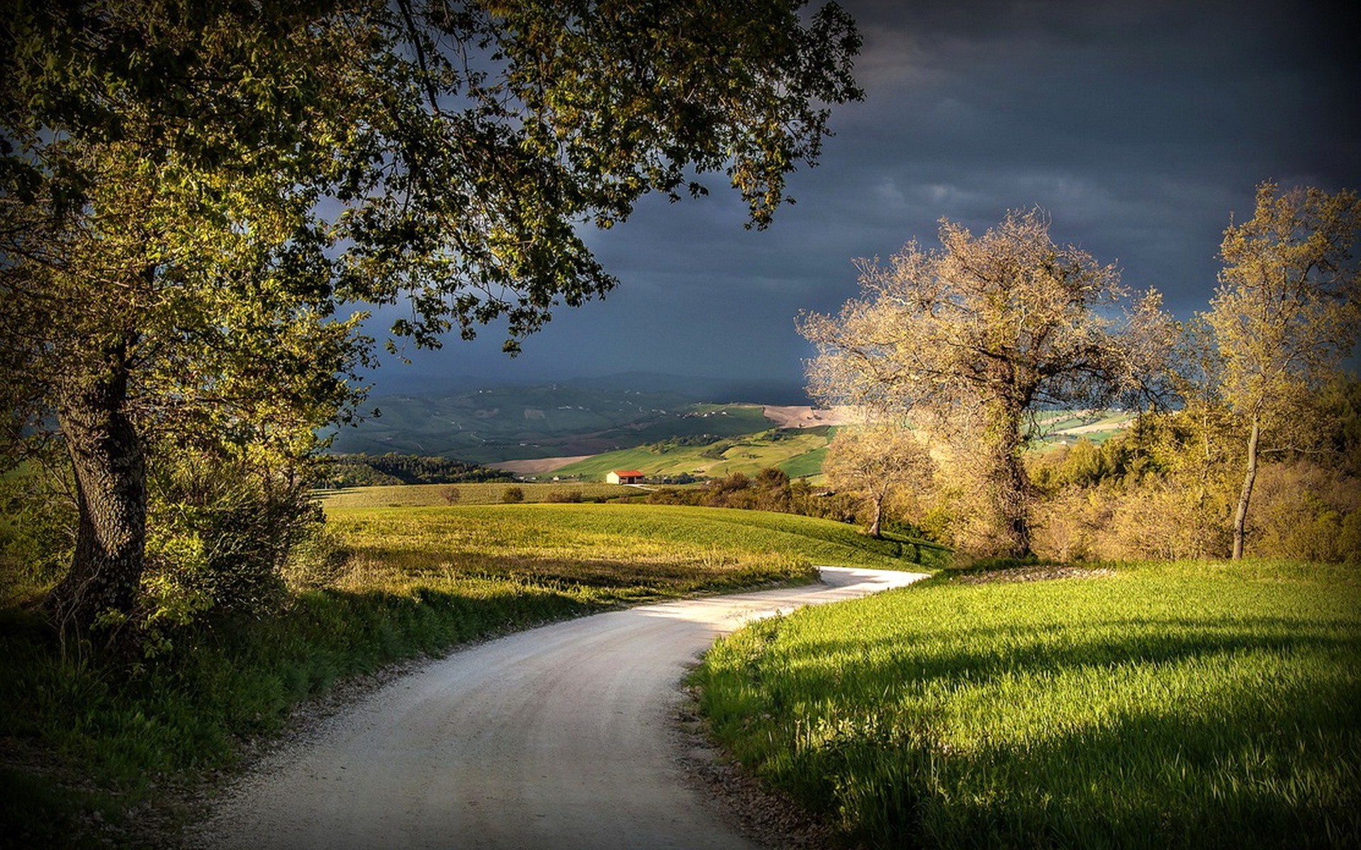 nature Wallpaper