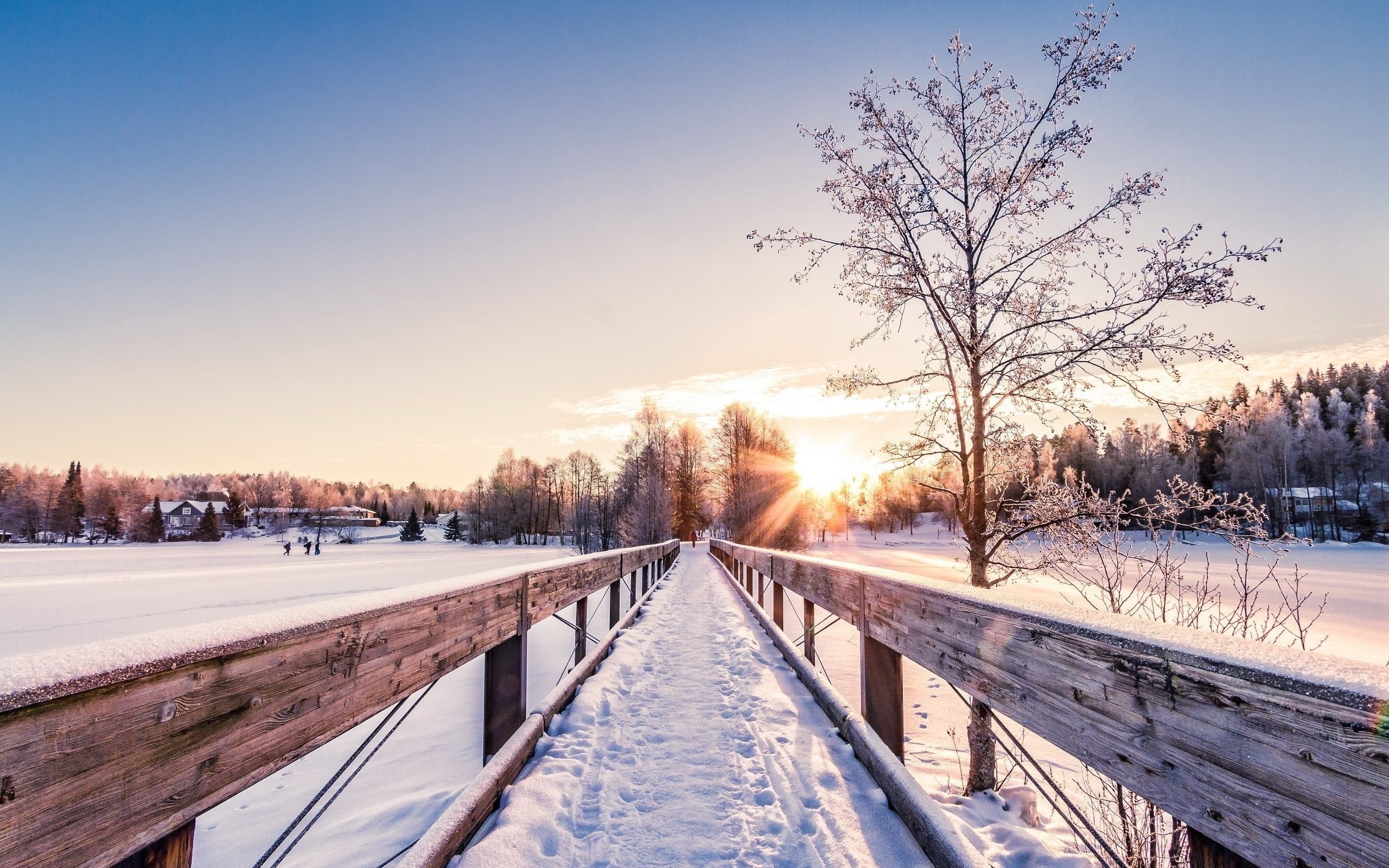 nature Wallpaper