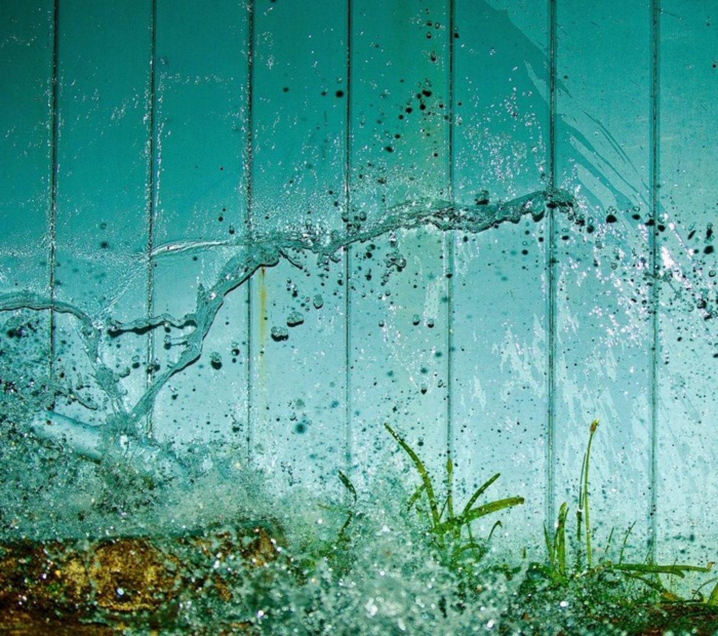nature Wallpaper