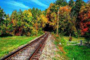 nature, Railway, Trees