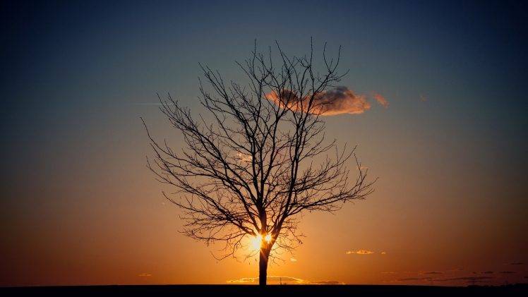 nature HD Wallpaper Desktop Background