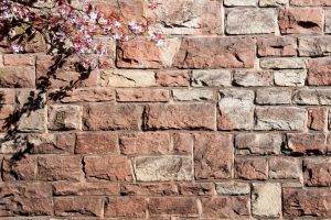 nature, Walls, Bricks