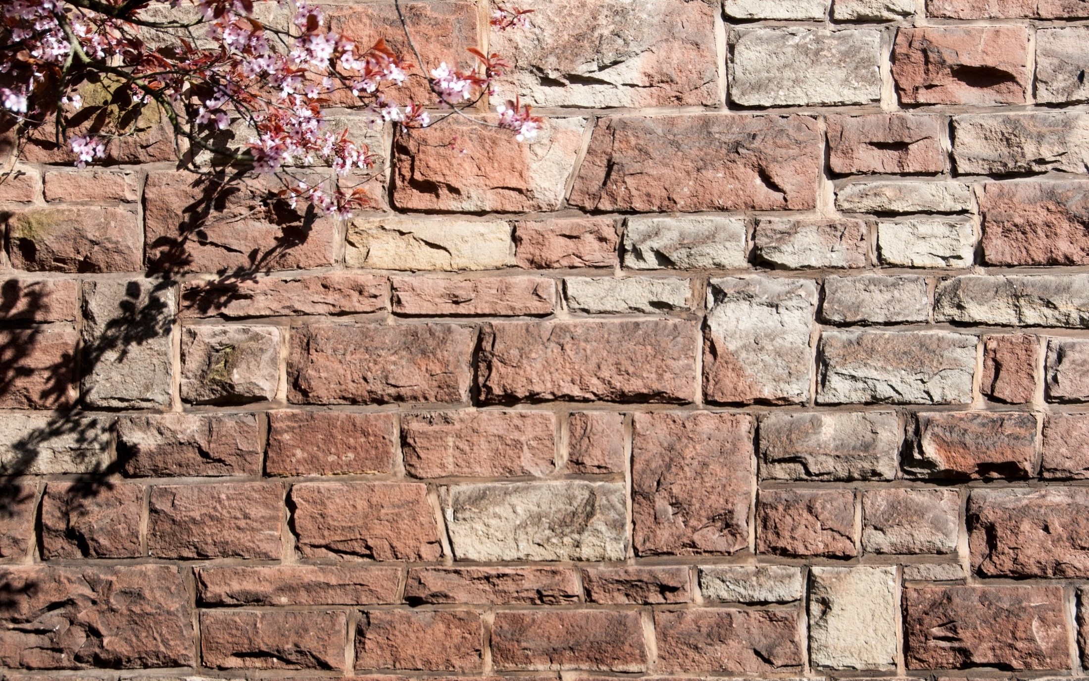 nature, Walls, Bricks Wallpaper