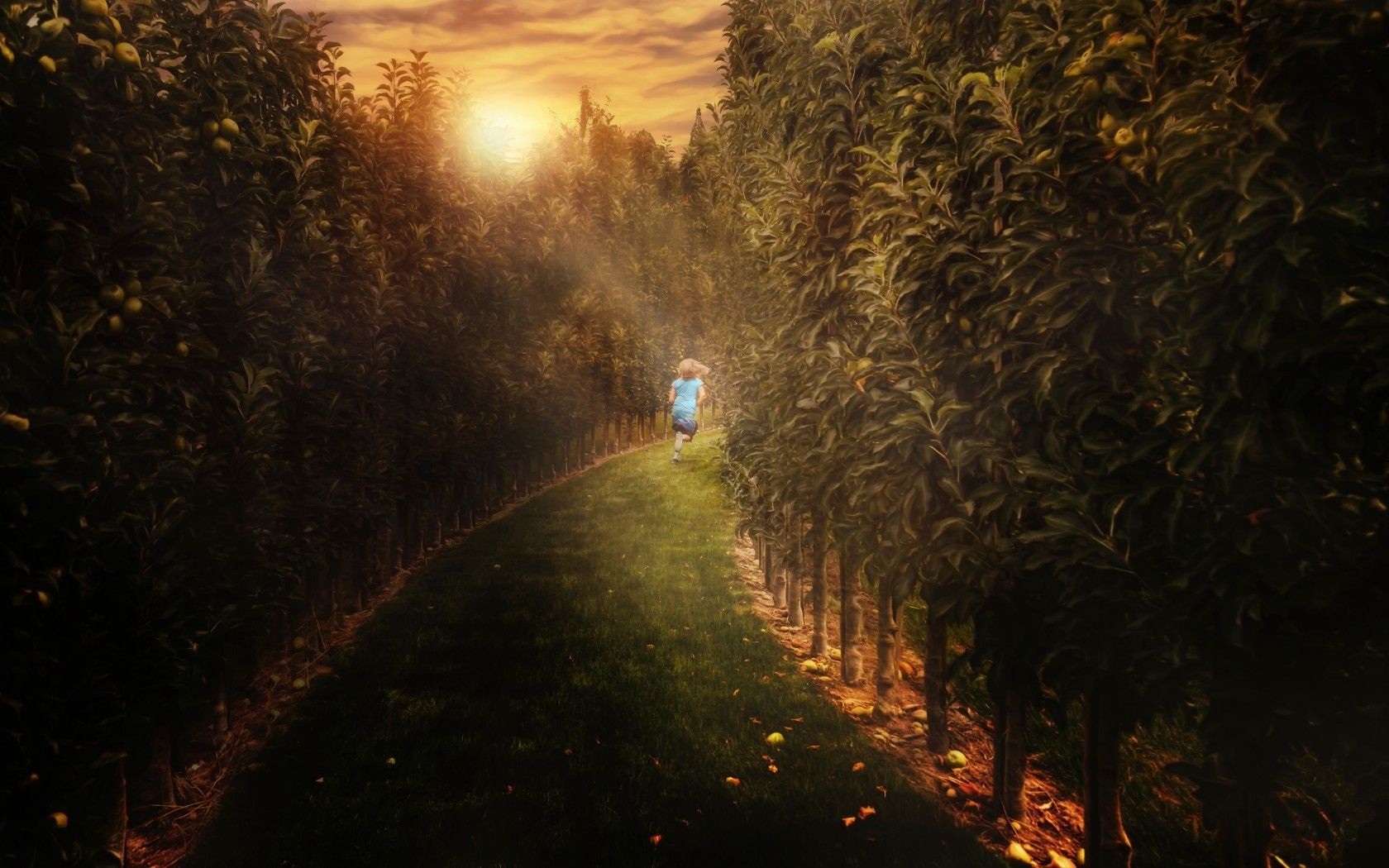 nature Wallpaper