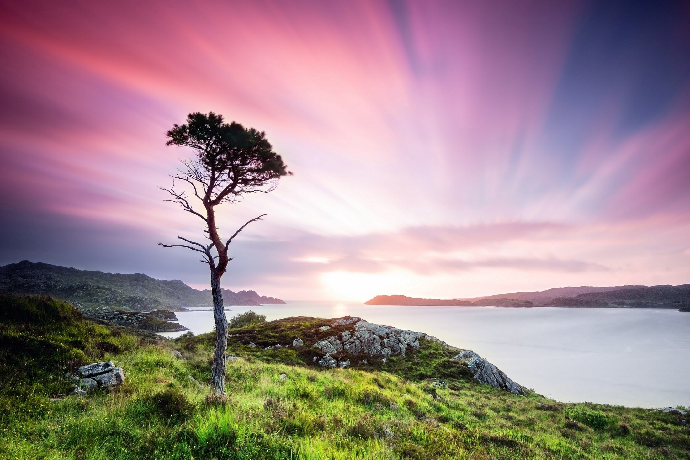 nature Wallpaper