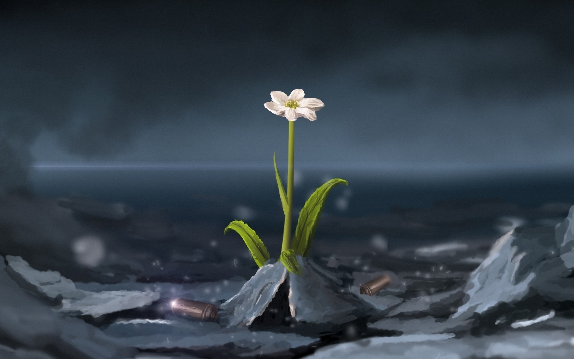 nature Wallpapers HD / Desktop and Mobile Backgrounds