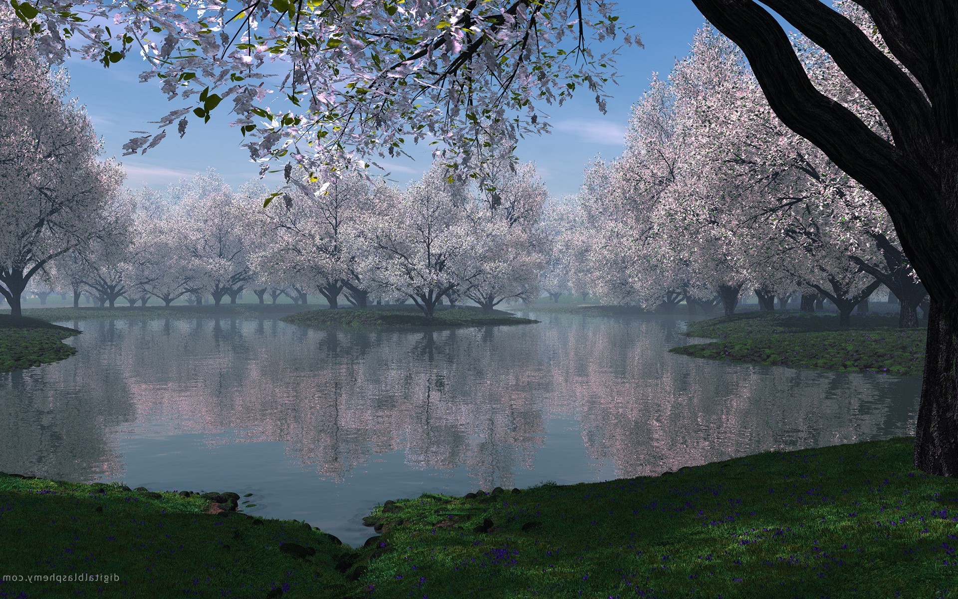 nature Wallpaper