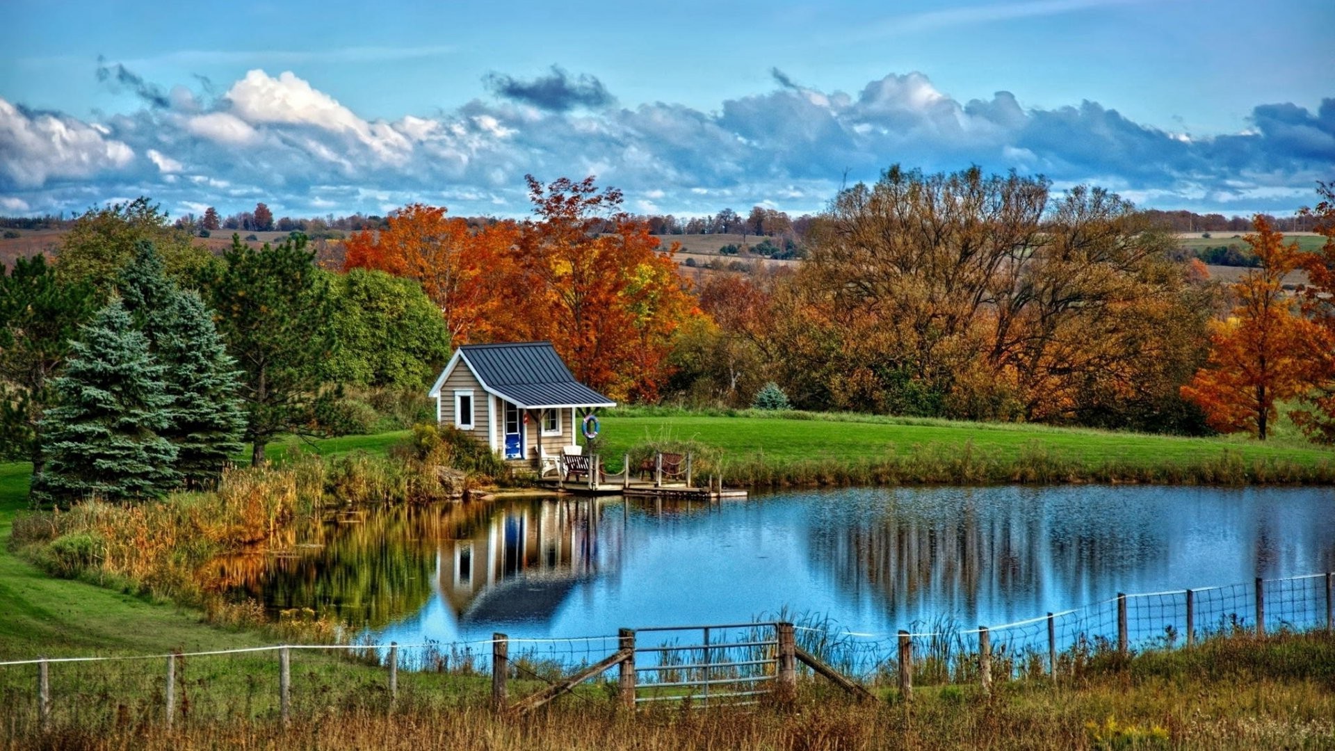 nature Wallpaper