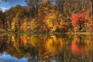 nature, Fall, Trees, Water, Landscape