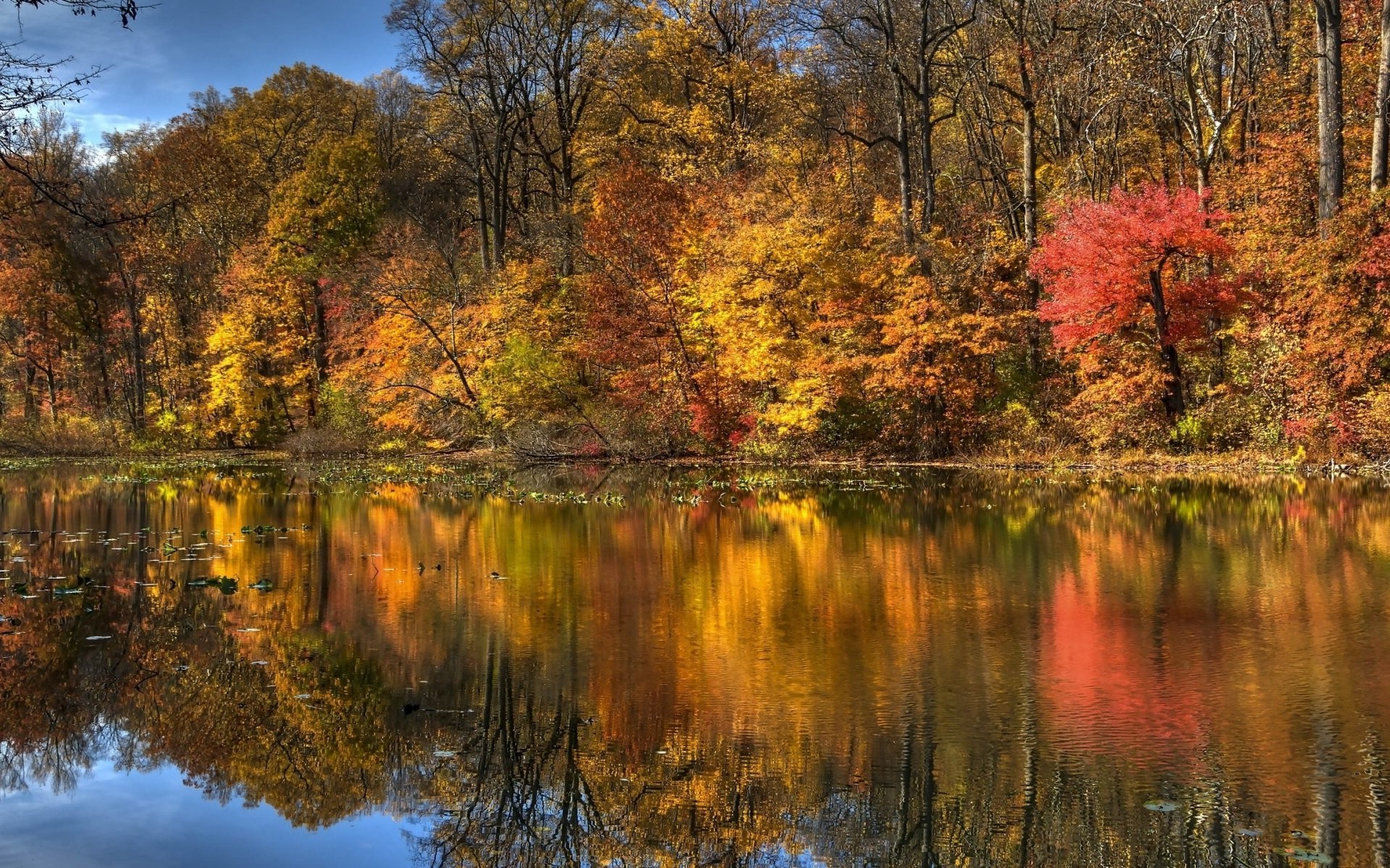 nature, Fall, Trees, Water, Landscape Wallpaper