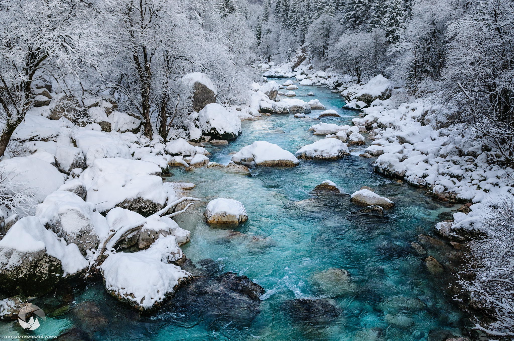 nature Wallpaper