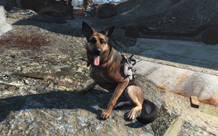 Fallout 4, Dogmeat, Video Games HD Wallpaper Desktop Background